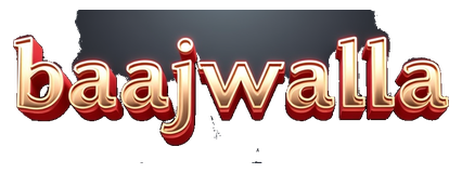 baajiwalla logo